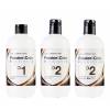 Exclusive Passion Y Color Passionex Kit  N.1 / N.2 / N.2+   3x500 Ml.    Ref. 11204