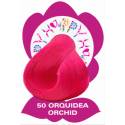 Hyppy Fantasy Color  50 Orquidiea Orchidea-orchid