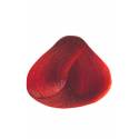 Nirvel Tinte Arco Iris Rojo 60 Ml. Ref. 7303