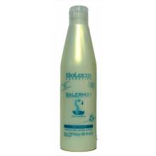 Salerm 21     250 Ml. Ref. 5737