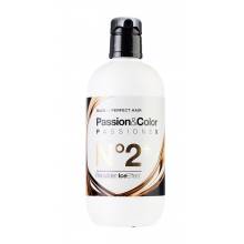 Exclusive Passion Y Color Passionex N.2+  Rebuilder Ice Effect  500 Ml.   Ref. 11208